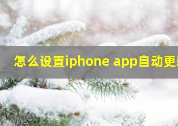 怎么设置iphone app自动更新